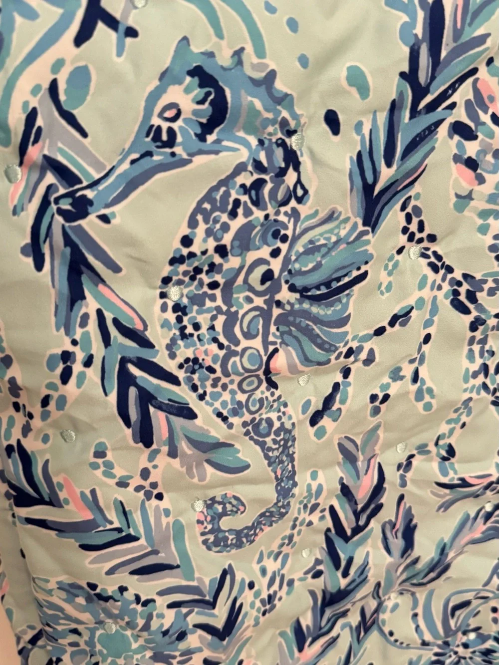 Lilly Pulitzer this lilly